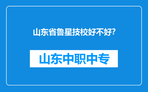 山东省鲁星技校好不好？